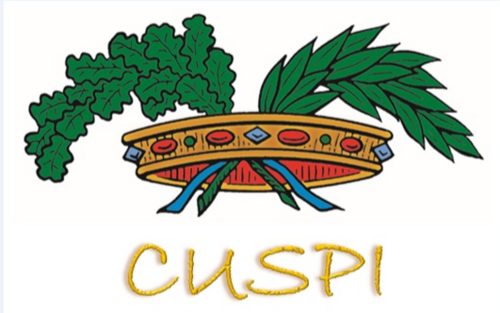 logo cuspi 2017 bello